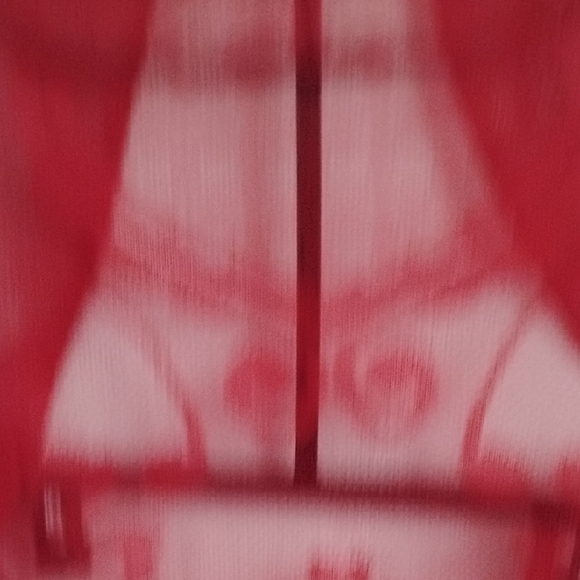 Elegant Red Floral Shawl with Fringe Boho Feminine Girly Cottagecore - Picture 11 of 12